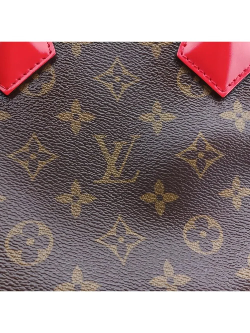 Louis Vuitton brand louis
